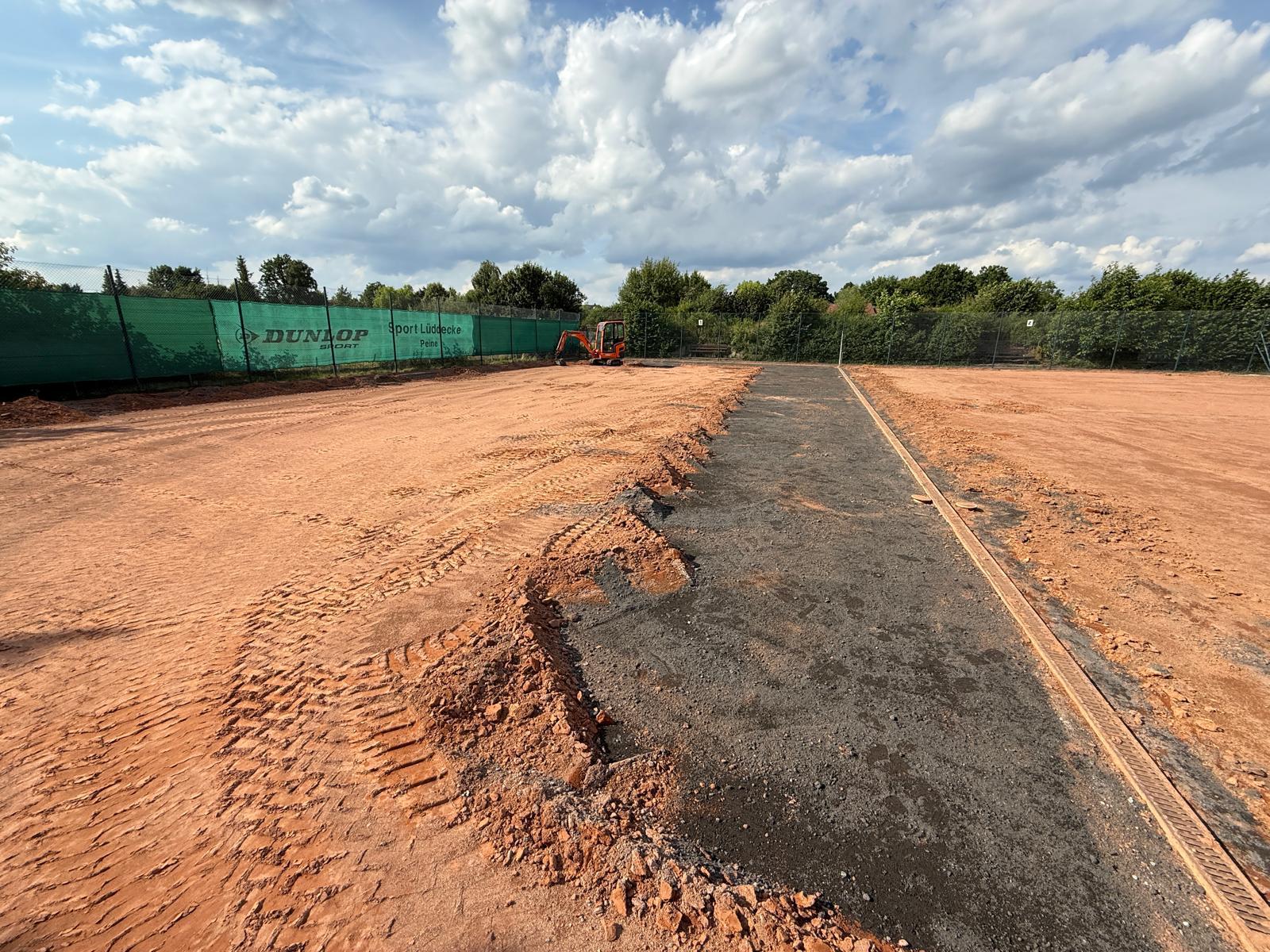 Pferd rennt über die Felder